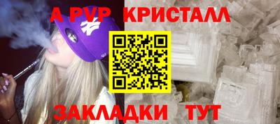 стаф Абакан