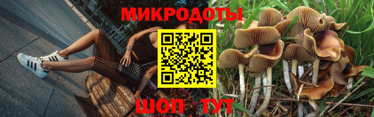 Галлюциногенные грибы мухоморы  Галлюциногенные грибы MAGIC MUSHROOMS  Вход с VPN  Алексин 